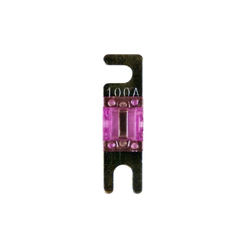 ANL mini 100A